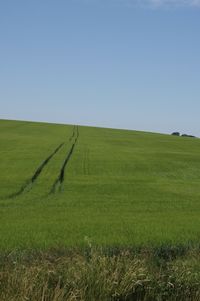 Scenic view of field against clear sky