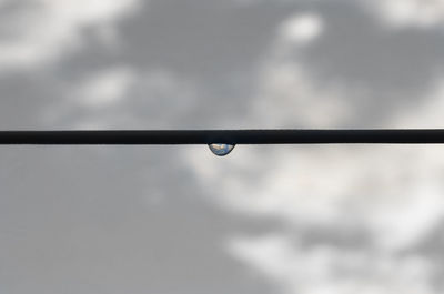 Close-up of water drops on leaf