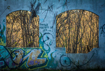 Close-up of graffiti on bare tree