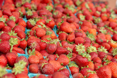 Full frame shot of strawberries
