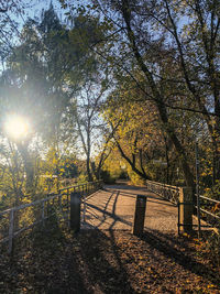 Trees in park during autumn