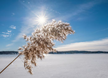 Scenic view of snow covered land against bright sky