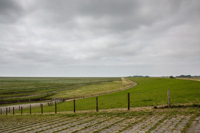 Scenic view of field against sky