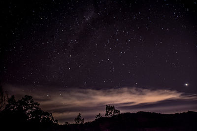 Low angle view of silhouette trees against sky at night