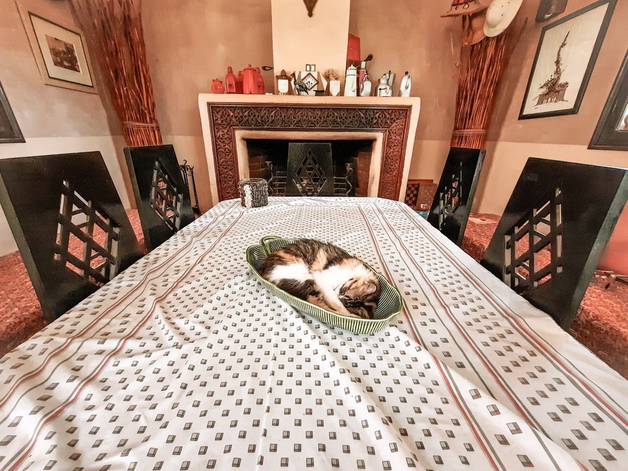 HIGH ANGLE VIEW OF CAT SLEEPING IN THE HOME