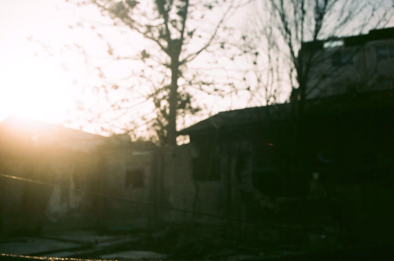 tree, built structure, building exterior, nature, sunlight, silhouette, branch, outdoors, no people, growth, architecture, lens flare, sunset, sky, tranquility, day, focus on foreground, tree trunk, selective focus, street