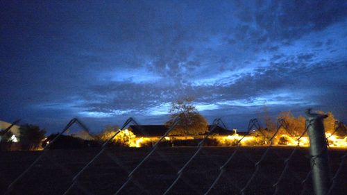 Illuminated plants against sky at night