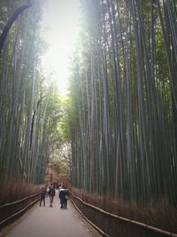 People walking on footpath