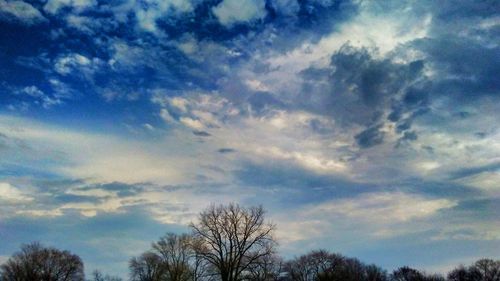 Low angle view of silhouette trees against sky