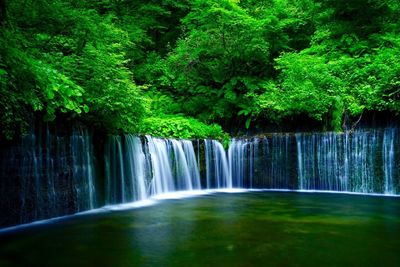 Scenic view of waterfall