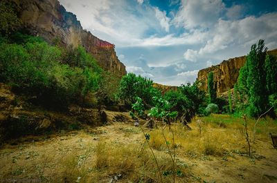 Scenic view of landscape against cloudy sky