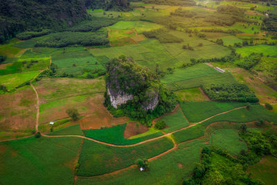 High angle view of agricultural field