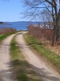 Road by trees on beach against sky