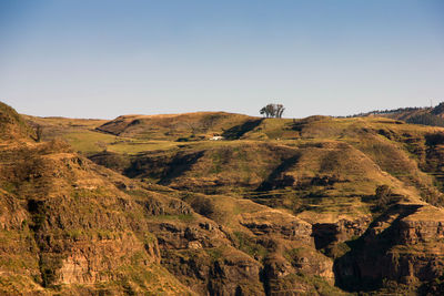 Trees in the distance, between slopes and ravines of gran canaria and a blue sky.