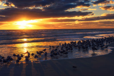 Scenic view of sea during sunset