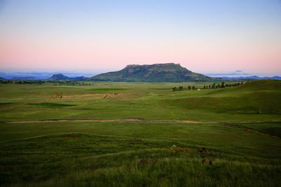 Scenic view of field against sky during sunset