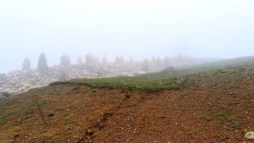 Scenic view of landscape against sky during foggy weather