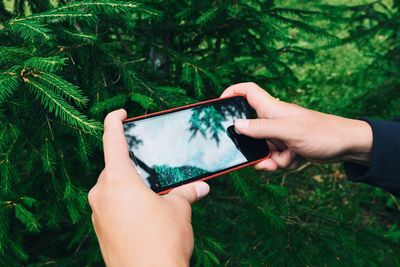 Midsection of person holding mobile phone