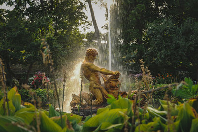 Statue of man sitting by plants against trees