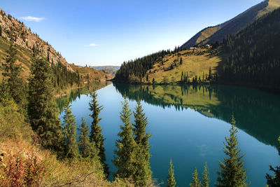 Alpine lake among mountains and rocks against blue sky, with trees and grass in summer, sunny day