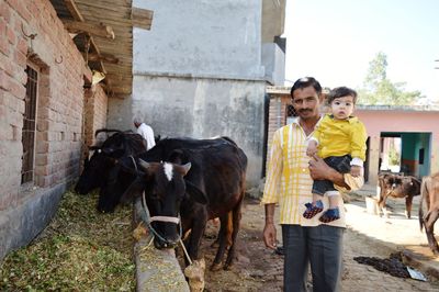 Portrait of father carrying son while standing by cattle at farm