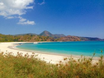 Scenic view of beach against blue sky