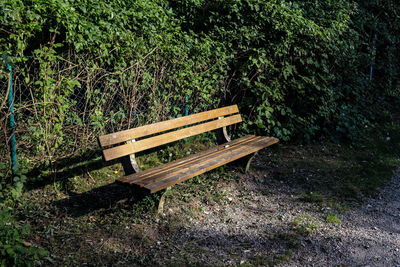 Empty bench in park