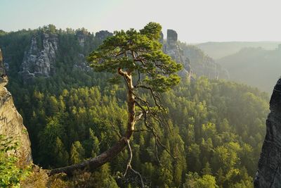 Scenic view of trees and mountains against sky