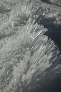 Close-up of water drops on plant