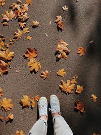 Low section of person standing on maple leaves during autumn