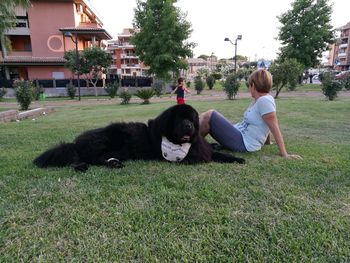 Two dogs sitting on grass against trees