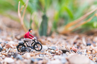 Man riding bicycle on field