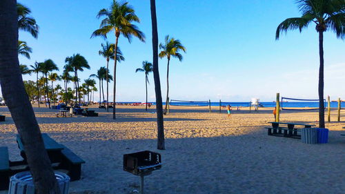 Palm trees on beach against sky