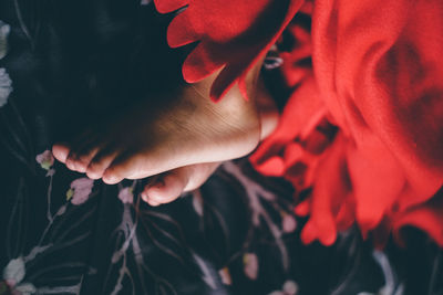 Close-up of woman hand with red flower
