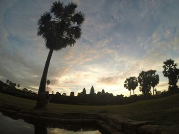 Silhouette of trees at sunset