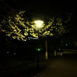 Illuminated street light at night