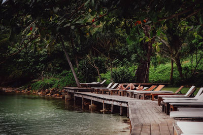 People relaxing at lakeshore against trees