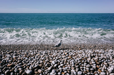 Pebbles on beach against sky