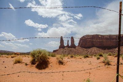 Trees on rock formation against sky