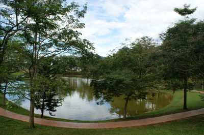 Scenic view of trees against sky