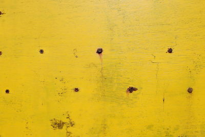 Full frame shot of yellow wall