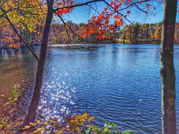 Scenic view of lake during autumn