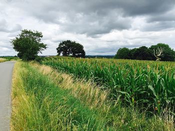 Scenic view of field against cloudy sky