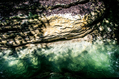 Reflection of trees in water on sunny day
