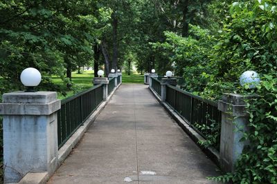 Walkway amidst trees