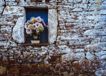 Flowers on wall of old building