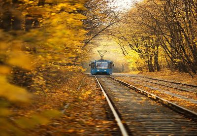 Railroad tracks amidst trees during autumn