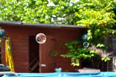 Close-up of bubbles against trees