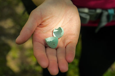 Close-up of human hand holding broken eggshells