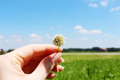 Midsection of person holding flowering plant on field against sky